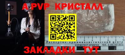 прущие грибы Камышлов